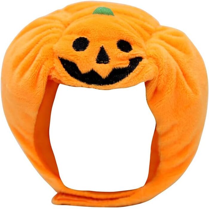 pumpkin costume