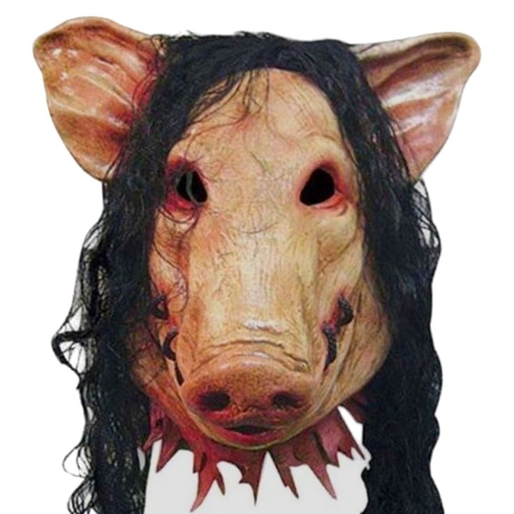 pig costume