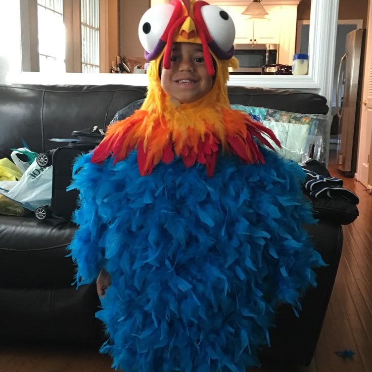 chicken costume ideas