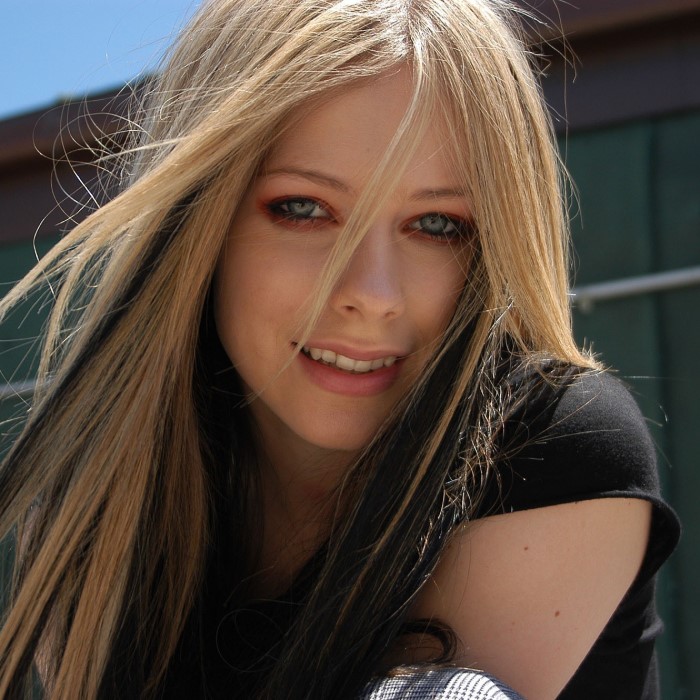 avril lavigne 2000s hair